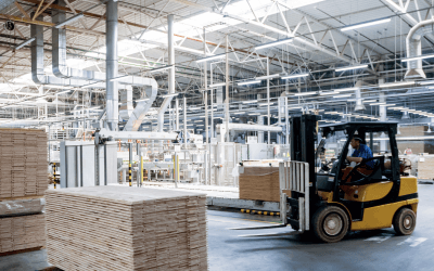 Everything About Forklift Collision Avoidance Systems