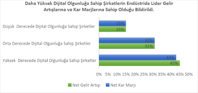 Dijital Olgunluk ve Kâr Marjı