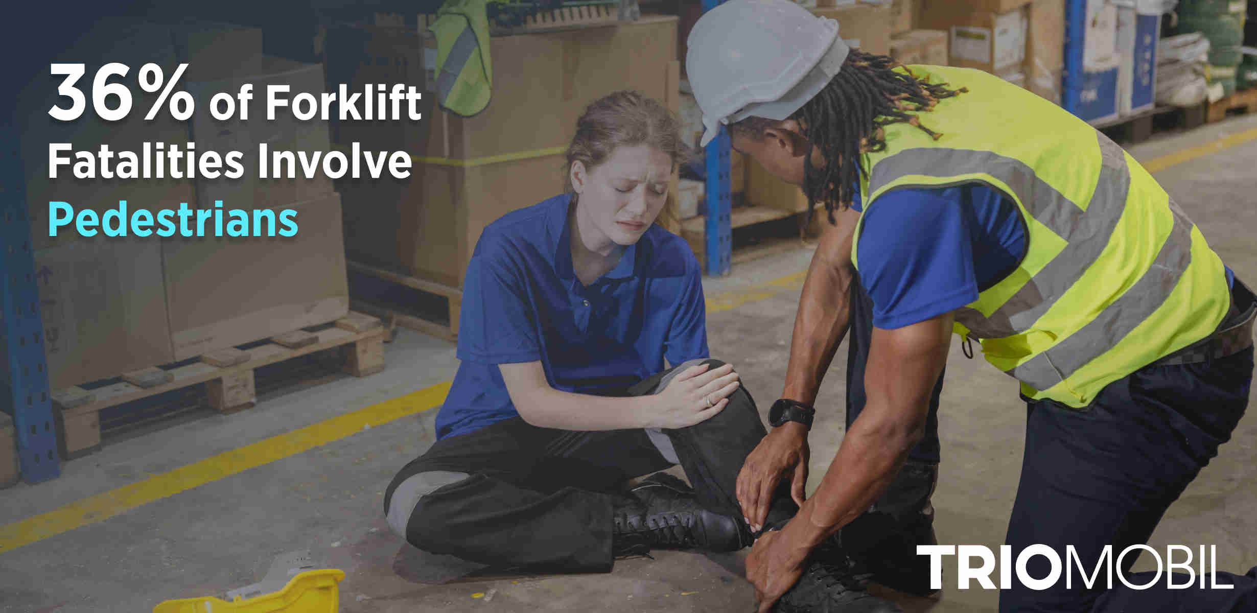 Statistical Data on Pedestrian Detection Systems